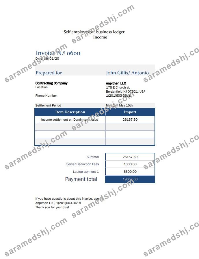 Self employment pay stub